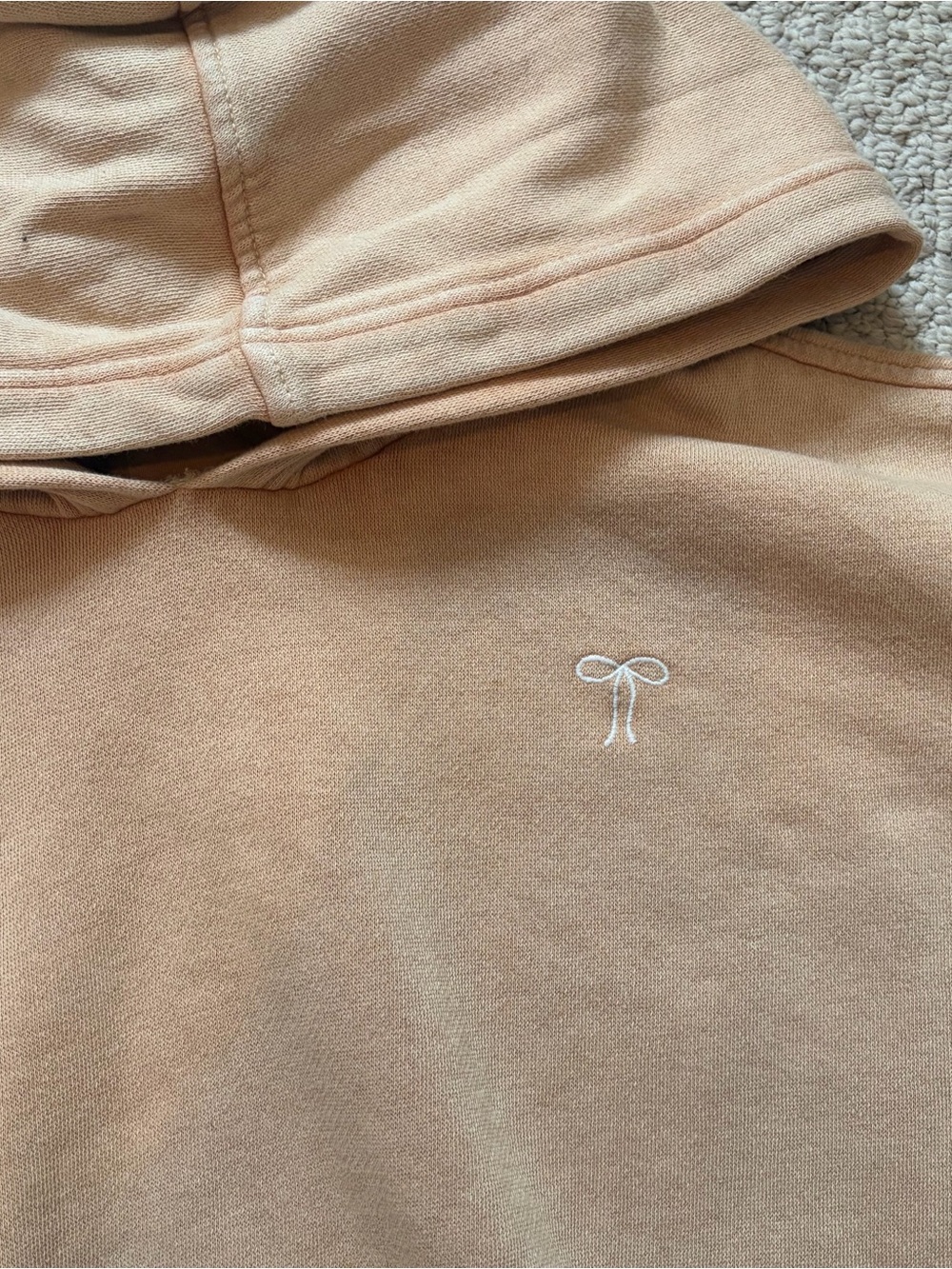 Aerie Hoodie with White Bow Embroidery